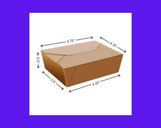 500 ML Food Container